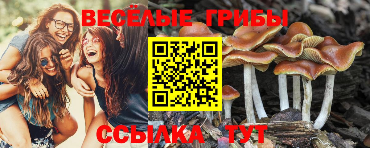 Галлюциногенные грибы мицелий Глазов
